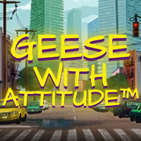 Geese with Attitude in Sub_Slots
