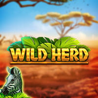 Wild Herd