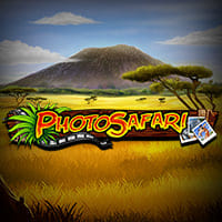 Photo Safari