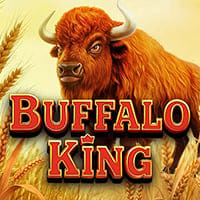 Buffalo King in alwayshot