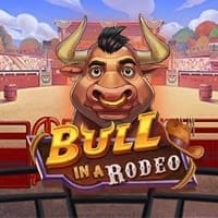 Bull in a Rodeo in alwayshot