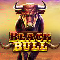 Black Bull in justlanded