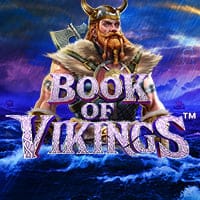 Book of Vikings in bookof
