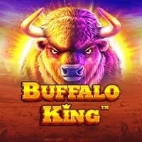 Buffalo King in alwayshot