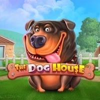 The Dog House in allslots